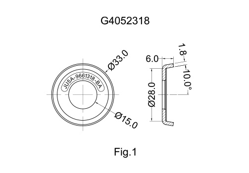 G4052318&G3336008 2D 503X350.jpg